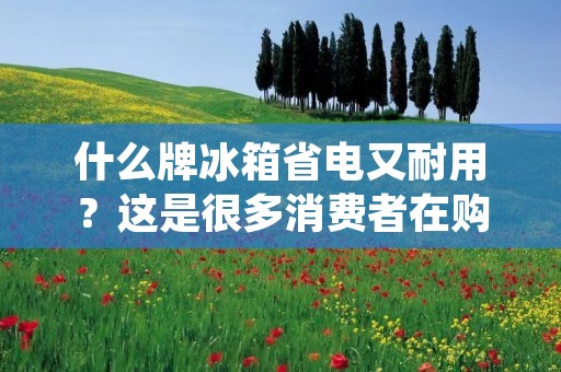 什么牌冰箱省电又耐用?这是很多消费者在购买冰箱时经常会关注的问题。毕竟,冰箱是家庭中耗电量较大的家电之一,选择一款省电又耐用的冰箱不仅可以为家庭节约能源,还能延长冰箱的使用寿命。本文将为您介绍几个在省电和耐用方面表现出色的冰箱品牌,并对其进行详细描述。 什么牌冰箱省电又耐用?这是很多消费者在购买冰箱时经常会关注的问题。毕竟,冰箱是家庭中耗电量较大的家电之一,选择一款省电又耐用的冰箱不仅可以为家庭节约能源,还能延长冰箱的使用寿命。本文将为您介绍几个在省电和耐用方面表现出色的冰箱品牌,并对其进行详细描述。