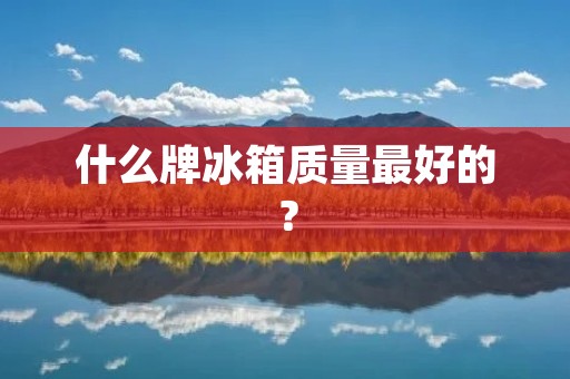 什么牌冰箱质量最好的？