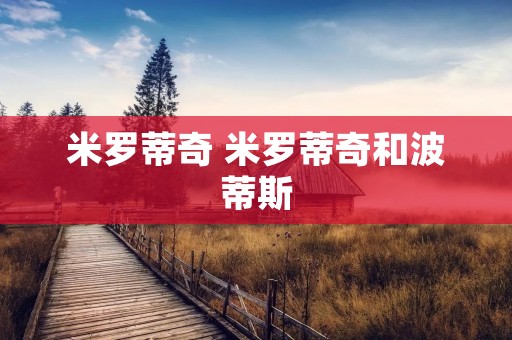 米罗蒂奇 米罗蒂奇和波蒂斯 米罗蒂奇 米罗蒂奇和波蒂斯