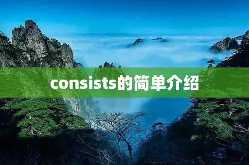 consists的简单介绍 consists的简单介绍