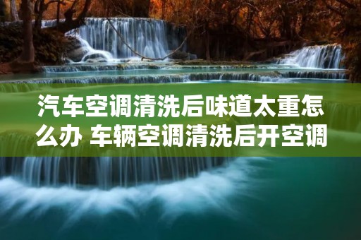 汽车空调清洗后味道太重怎么办 车辆空调清洗后开空调味道特别大 汽车空调清洗后味道太重怎么办 车辆空调清洗后开空调味道特别大