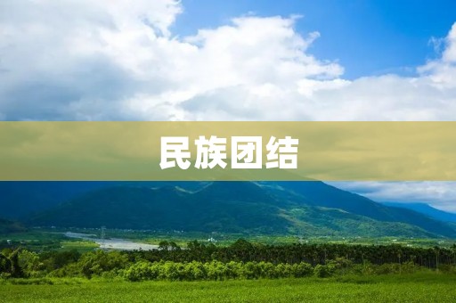 民族团结：构建和谐社会的重要基石