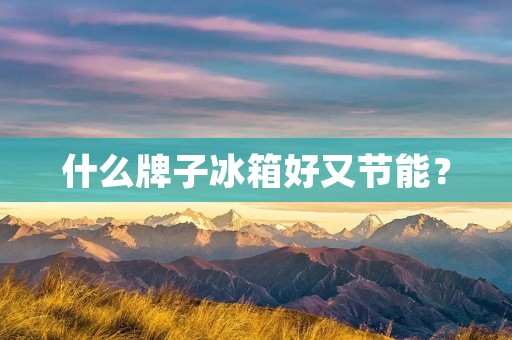 什么牌子冰箱好又节能？