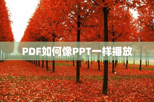 PDF如何像PPT一样播放
