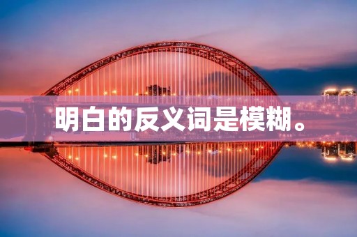 明白的反义词是模糊。