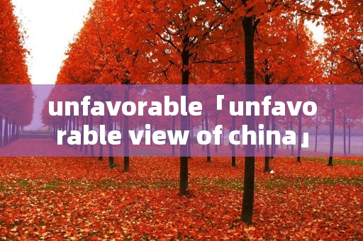 unfavorable「unfavorable view of china」