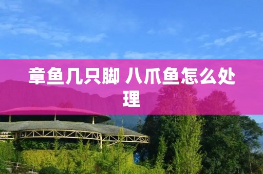 章鱼几只脚 八爪鱼怎么处理