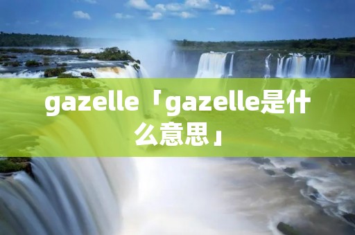 gazelle「gazelle是什么意思」