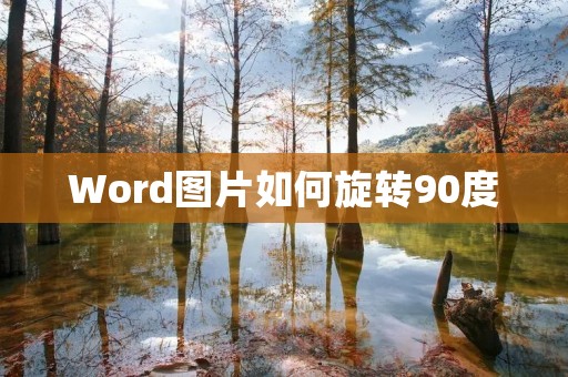 Word图片如何旋转90度