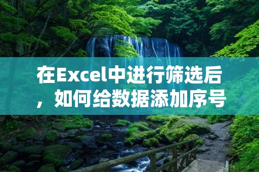在Excel中进行筛选后,如何给数据添加序号呢?下面将详细描述这一过程。