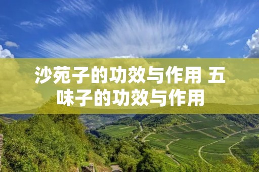 沙苑子的功效与作用 五味子的功效与作用