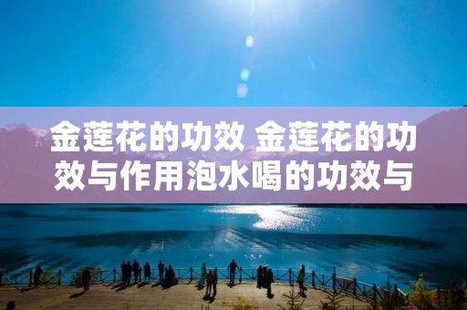 金莲花的功效 金莲花的功效与作用泡水喝的功效与副作用