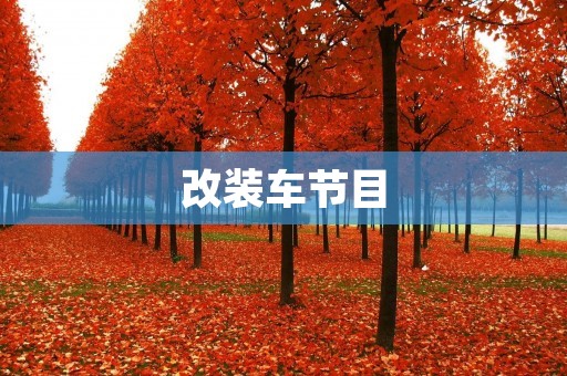 改装车节目:探索车辆改装魅力与技术的终极舞台 改装车节目:探索车辆改装魅力与技术的终极舞台