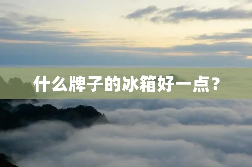 什么牌子的冰箱好一点? 什么牌子的冰箱好一点?