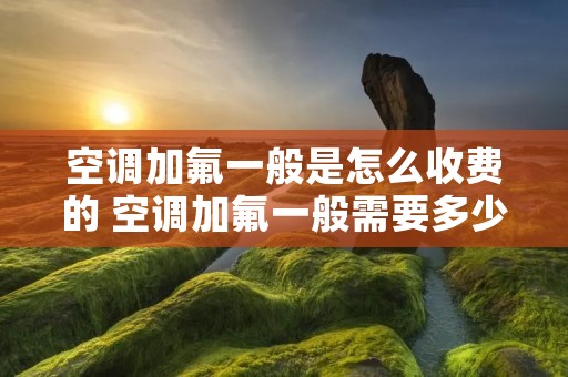 空调加氟一般是怎么收费的 空调加氟一般需要多少钱2021 空调加氟一般是怎么收费的 空调加氟一般需要多少钱2021