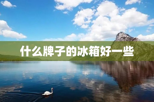 什么牌子的冰箱好一些 什么牌子的冰箱好一些