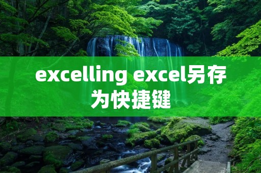 excelling excel另存为快捷键