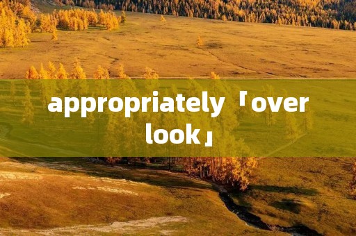 appropriately「overlook」
