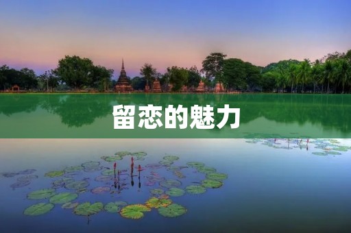 留恋的魅力:挥之不去的思念