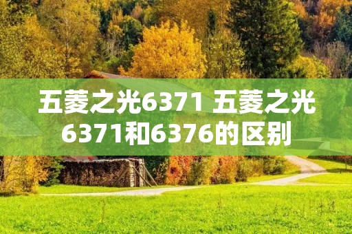 五菱之光6371 五菱之光6371和6376的区别