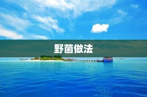 野菌做法:探索大自然的美味佳肴 野菌做法:探索大自然的美味佳肴