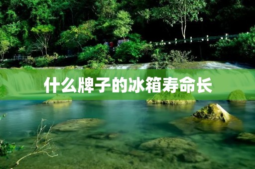 什么牌子的冰箱寿命长 什么牌子的冰箱寿命长