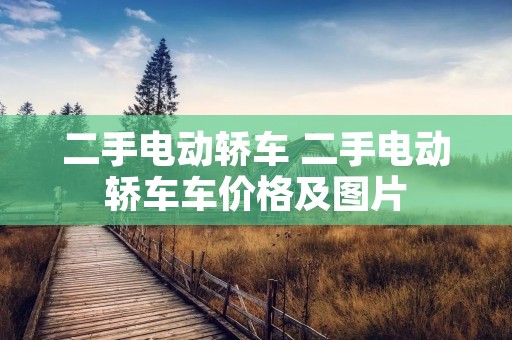 二手电动轿车 二手电动轿车车价格及图片 二手电动轿车 二手电动轿车车价格及图片
