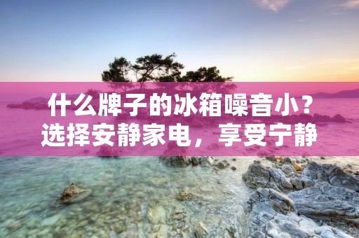 什么牌子的冰箱噪音小?选择安静家电,享受宁静生活 什么牌子的冰箱噪音小?选择安静家电,享受宁静生活