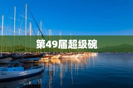 第49届超级碗:传奇对决与精彩表演 第49届超级碗:传奇对决与精彩表演