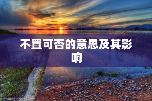 不置可否的意思及其影响