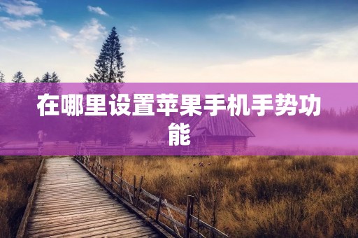在哪里设置苹果手机手势功能