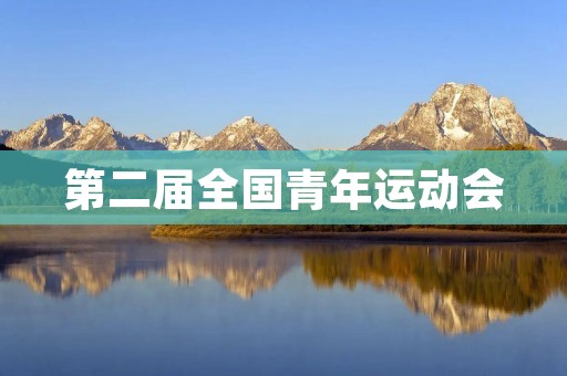 第二届全国青年运动会：激发青春活力，展现体育风采
