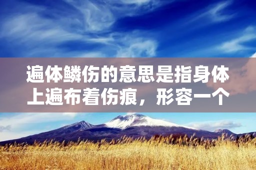 遍体鳞伤的意思是指身体上遍布着伤痕,形容一个人或一物受到了严重的伤害或损害。这个词汇常常用来形容人们在生活中遭受到了巨大的打击或挫折,导致他们感到非常痛苦和疲惫。