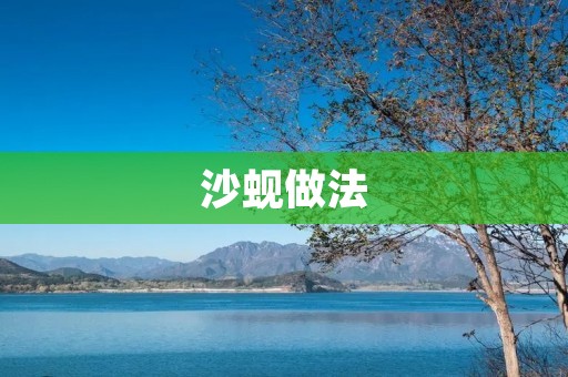 沙蚬做法：美味可口的海鲜佳肴