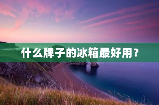 什么牌子的冰箱最好用？