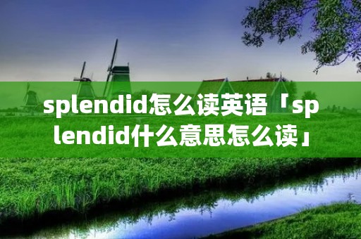 splendid怎么读英语「splendid什么意思怎么读」