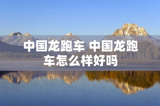 中国龙跑车 中国龙跑车怎么样好吗
