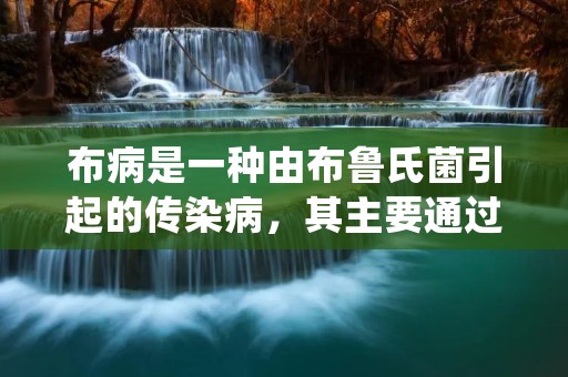 布病是一种由布鲁氏菌引起的传染病,其主要通过接触感染源,如感染了布鲁氏菌的牲畜、生乳及其制品等途径传播给人类。布病的症状多种多样,常见的包括发热、乏力、头痛、关节痛等,严重的病例还可能导致心脏、肝脏、脾脏等器官受损。本文将详细描述布病的症状,以增加对该疾病的认识和了解。