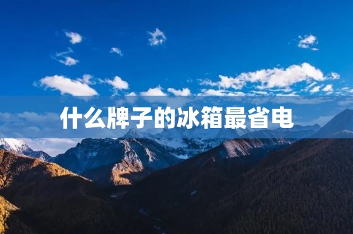 什么牌子的冰箱最省电 什么牌子的冰箱最省电