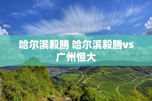 哈尔滨毅腾 哈尔滨毅腾vs广州恒大