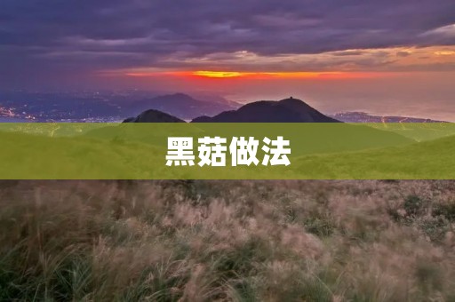 黑菇做法:美味健康的烹饪秘籍 黑菇做法:美味健康的烹饪秘籍