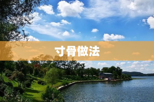 寸骨做法：美味佳肴的制作技巧