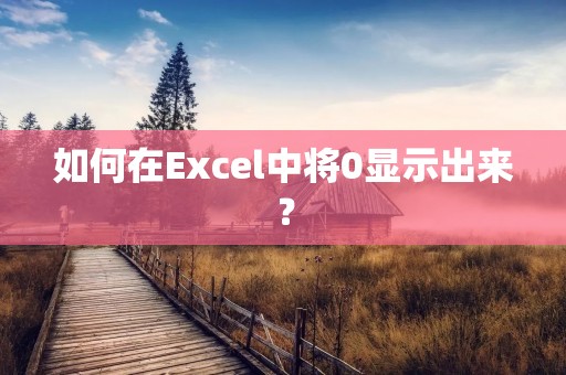 如何在Excel中将0显示出来?