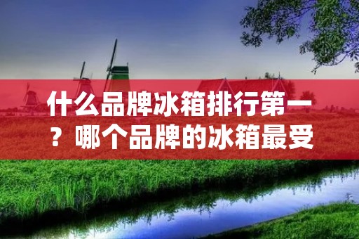 什么品牌冰箱排行第一？哪个品牌的冰箱最受欢迎？在众多冰箱品牌中，有一个品牌凭借其卓越的品质、创新的技术以及广受消费者好评的口碑，荣登冰箱排行榜的第一名。它就是——海尔。