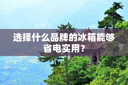 选择什么品牌的冰箱能够省电实用？