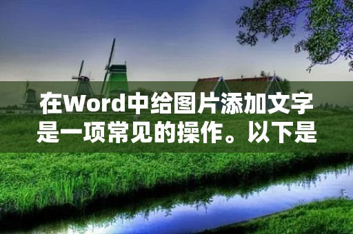 在Word中给图片添加文字是一项常见的操作。以下是使用关键词进行的步骤：