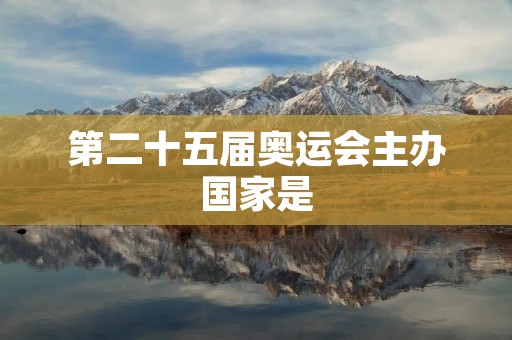 第二十五届奥运会主办国家是