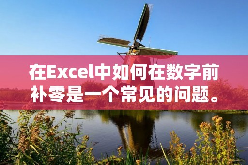 在Excel中如何在数字前补零是一个常见的问题。下面将详细介绍几种方法来实现这个需求。