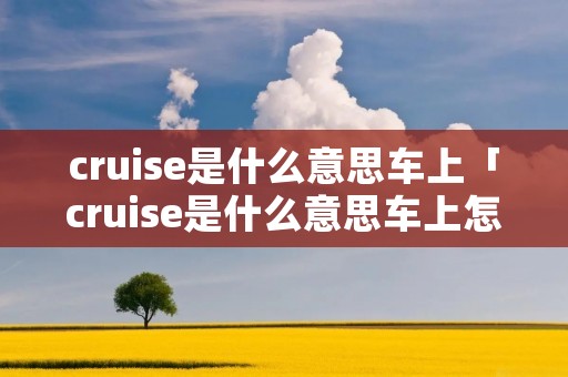 cruise是什么意思车上「cruise是什么意思车上怎么关掉」
