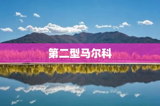 第二型马尔科:重新定义现代艺术的突破之路 第二型马尔科:重新定义现代艺术的突破之路